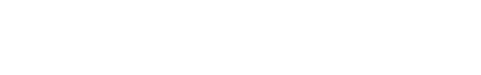 Nautilus